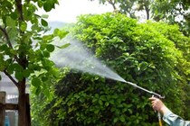「ほとんどの虫が死んでいる」　虫コロリアースの“庭用害中駆除剤”に絶賛の声　「一番効くと思う」「簡単にまける」「色がグレーで目立たないのも良い」