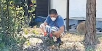 古民家を買った夫妻→庭の木を伐採すると……　驚愕の光景に「まさかこんな死闘になるとは…」「めっちゃ大変ですよね」