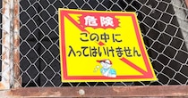 住宅地の用水路で「この中に入ってはいけません」→のぞくと……　100匹以上の姿に「可哀想」「気の毒ですね」