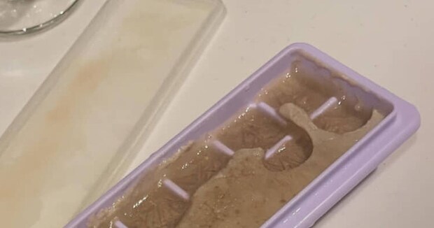 愛犬用にアイスを手作り→夫に「割って」と頼んだら……「腹よじれるほど笑った」 まさかの光景に「笑える奥さんでよかった」