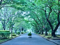 「穏やかな校風を想像していたが…」　“授業のクオリティが高い地方国立大学”ランキング上位に学生の声「他分野を副専攻もOK」「公務員模試も全国で1、2位を争う」