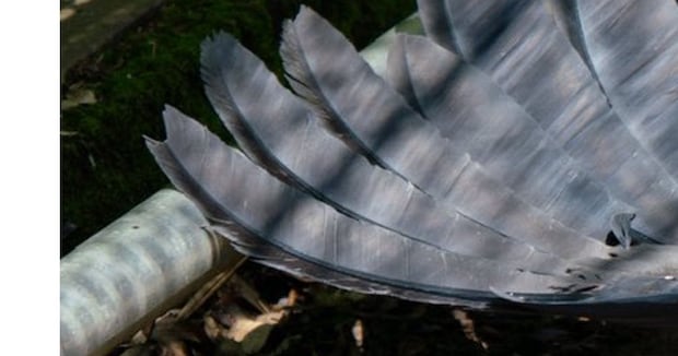「悲鳴が上がっていました」地面に倒れていたのは……　“衝撃の光景”が170万表示「クセが強過ぎるww」「びっくりするからやめなさい!!」
