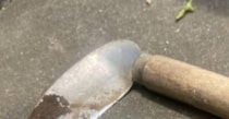 庭仕事をしていたら……「うわあああ」　遭遇した“まさかの生き物”に仰天「初めて見ました」「もはやモスラ」