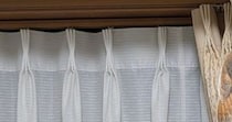 「カーテンにでっかい虫がいる」→ビビりながら見ると……　「鳥肌たった」まさかの光景に「こんなに大きいなんて」「急だと心臓に悪い！」