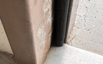 「Gとおもったら」床にいる黒い虫→よく見ると……　まさかの正体に「これはドキッ」「こっちの方がビビる」