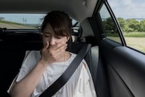 「匂いがまったくしない」　ファブリーズとコラボした“サンシェード”に「車に常備しとくか」「簡単便利」の声