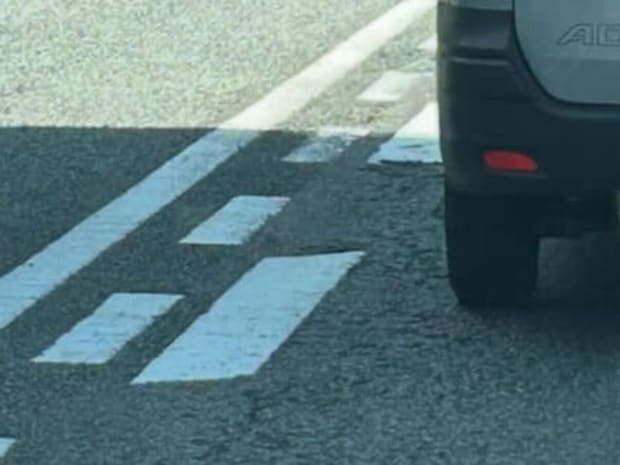 「前の車に柴犬詰まってる」→そんな訳ない! と思って見ると……「これは柴犬」 驚きの光景に「窮屈そうで怒ってるw」「疲れてるのかなぁ」