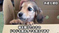 【画像】1カ月後の姿