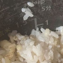 炊飯器を開けたら……　「結婚してくだい！」予想外すぎる光景に「そんなことある!?」「羨ましい」と184万表示