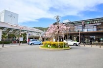 「国公立大学並みの企業就職力」　“西日本の私立大学”で就職がいいのは？　ランキング上位に「学生に対しての対応もとてもよい」「関西の単科大学では最もレベルが高い」の声