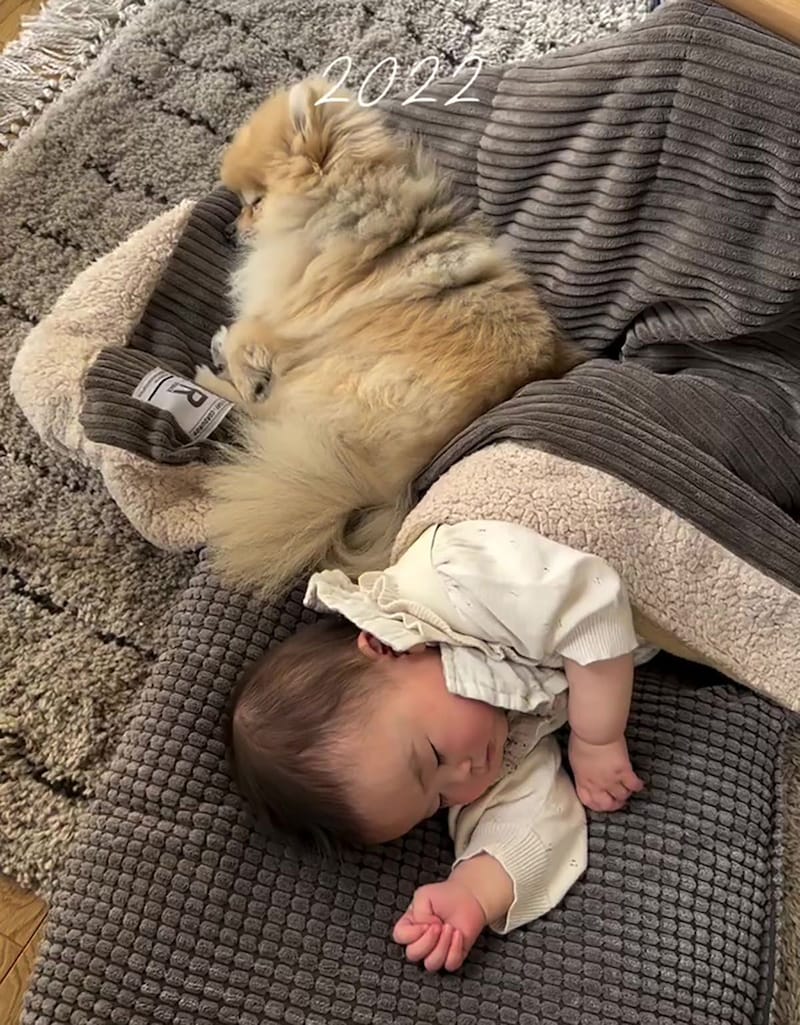 生まれたときから犬と一緒だった赤ちゃん→4年後の姿に「なんて愛おしい」「どの瞬間も尊すぎますね」