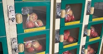 福島のコインロッカーで売られた“5個セットの桃”→気になる値段は……　衝撃の光景が105万表示「すごすぎます」「ここはどこですか?!」