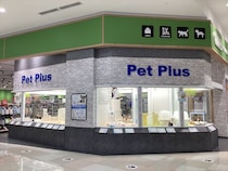 「イオンモール熊本」ペットショップ、犬猫の無事を報告→イオンは“4人の安否が不明”と発表　「深くお詫び申し上げます」爆発事故を謝罪