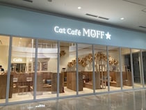 【イオンモール熊本】猫カフェ、取り残されていた25匹すべての猫を救出「専門スタッフにより一頭一頭の健康状態の確認およびケア」