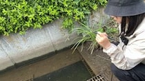 【画像】まさかの光景