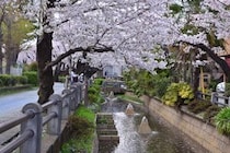 「通って後悔はない」　“いい友人・恋人ができると評判の首都圏の大学”ランキング上位に「恋愛もみんな本気」「青春したいならここ！！」の声