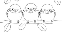 そうはならんやろ　“子ども用の塗り絵”を絵描きがガチで塗ると……　まさかの仕上がりに驚き