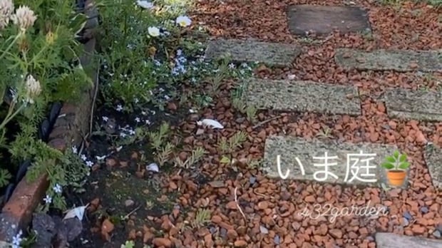雨が降った翌日、自宅の庭に出てみたら……「絵になるなぁ」　“目を見張る光景”に「ひたすら溜息」「感動しています」