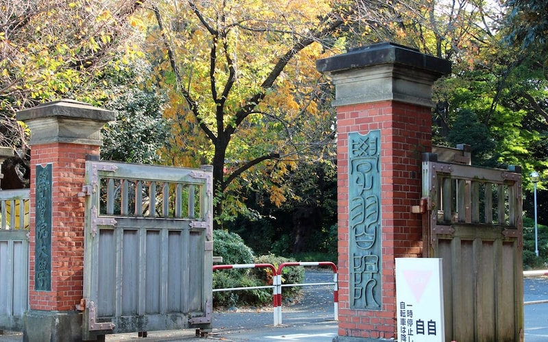 「入って本当に良かった」 女性が選ぶ“企業からの評価が高そうな東京都の私立大学”ランキング上位に「ほかのMARCHにはない魅力アリ」「堅すぎず、緩すぎない」の声