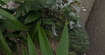【画像】予想外の光景