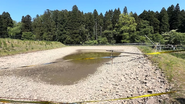 底が見えない濁った野池→水を抜いたら…… パイプからドバドバ流れ出す“人気者”に「やばいやばい」「大量すぎる」