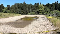 底が見えない濁った野池→水を抜いたら……　パイプからドバドバ流れ出す“人気者”に「やばいやばい」「大量すぎる」