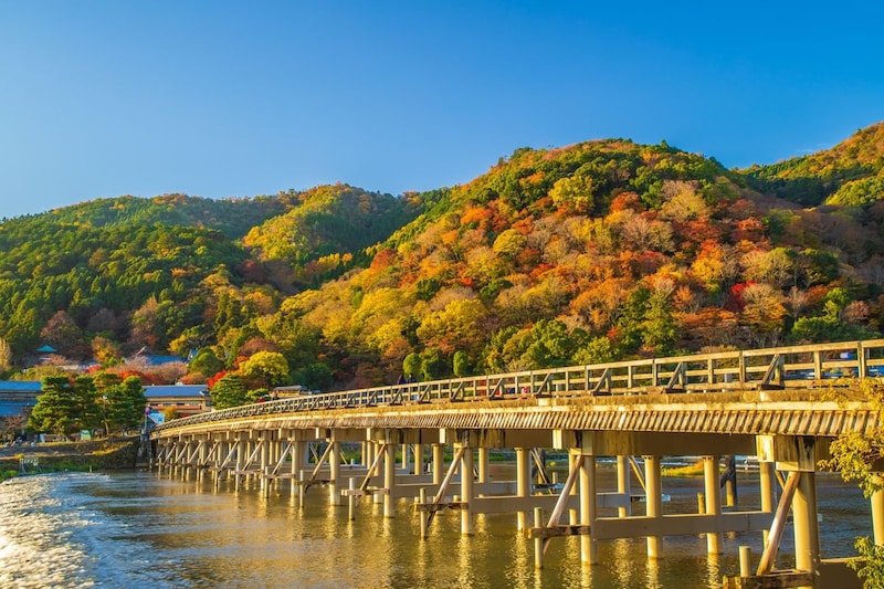 【東海在住者に聞いた】買ってきてほしい「京都のお土産」ランキング! 2位は「生八ッ橋(本家西尾八ッ橋)」「生八つ橋おたべ(京都銘菓おたべ)」、1位は?