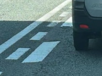 「前の車に柴犬詰まってる」→そんな訳ない！　と思って見ると……「これは柴犬」　驚きの光景に「窮屈そうで怒ってるw」「疲れてるのかなぁ」