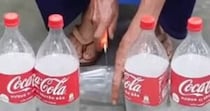 ペットボトルの半分に土を入れて種をまくと……　45日後の光景に「試してみたい」「素晴らしいアイデア」　【海外】