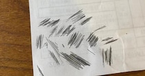 持ち込み可能な期末テスト→男性が持ち込んだのは……「ヤバすぎ」　目を疑うまさかのものが1284万表示「これはすごい」「これもう美術品だろ」
