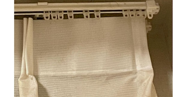 娘と会話中→家の壁をふと見たら……「どっからきたの??」 目を疑う衝撃の光景に「大きい!」「光に集まってきたのかな?」