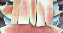 「スイカの皮は捨てないで！」　余ったスイカの皮を薄く切り……　“まさかの完成品”が94万再生「こんな使い道があるとは」【海外】