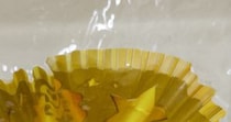 【画像】まさかの容器（全体を見る）