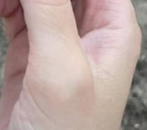松の木の下に落ちていた奇妙な形の物体→拾ってみると……　驚きの光景に反響「どこからどう見ても……」「これは名作」