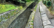 中1の陸上部員が夏休みの宿題で描いた絵→9年後……「何があったん」　目を疑う“現在の作品”に「百度見した」「鳥肌がたった」