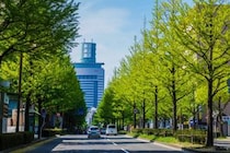 【関西地方在住者が選ぶ】買ってきてほしい「仙台土産」人気ランキングTOP28！　第1位は「づんだ餅」と「ずんだ餅」【2026年最新調査結果】