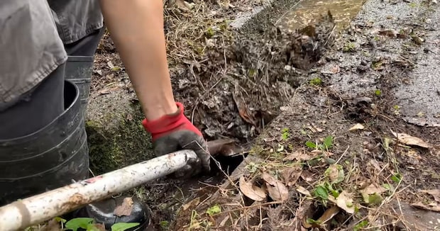 2年放置して“土砂だらけの水路”→掃除したら…… 一変した光景に「スッキリしましたね」「気持ちいい」