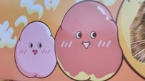 ミスドの“もっちゅりん箱”をくり抜いて、愛猫を入れてみたら……　まさかの光景に「最高じゃん？」「カワイイ」