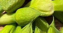 実は食べられる“ネギの謎の部分”　ネットで寄せられた調理方法に「ここ食べられるの!?」「初めて知った」
