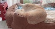 【画像】今の姿を見る