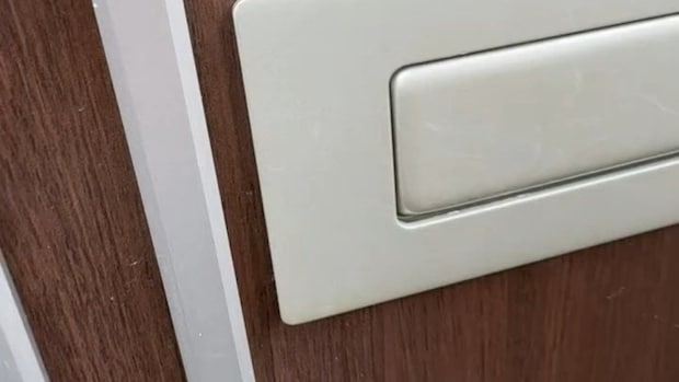 女性が帰宅→玄関ドアにくっついていたのは……「初めて見た!!!」 “驚きの虫”に「良いことありそう」「宝くじ買いなはれ」
