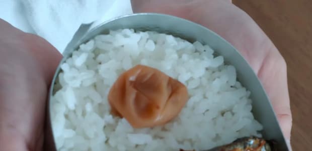 小2息子のために、ズボラママが作った“ジブリ弁当”→開けてみると……　驚きの中身に「天才!?」「工夫してて愛を感じます」