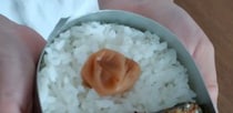 【画像】驚きの中身