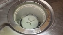 コポコポ音がするキッチン排水溝→中で“育っていた”のは……「手遅れになる前に要チェック」目を疑う光景に「凄いですね」