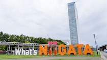 【都民に聞いた】「買ってきてほしい新潟のお土産」ランキング！　2位は「くるみゆべし」、1位は？