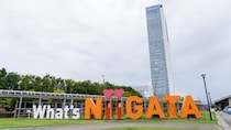 【画像：「買ってきてほしい新潟のお土産」ランキング18位～1位を見る】