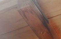 【画像】ハチ対策を見る