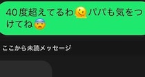 【画像】夫からの返信全文