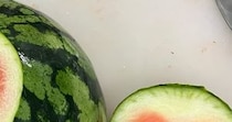 男性がスイカを切ったら……「え？」　まさかの断面に「切るのもったいないね」「いいもの見せてくださってありがとう」