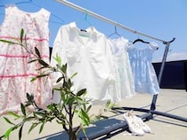 「洗濯の時間が待ち遠しくなる」　女性が選ぶ“最強の柔軟剤ブランド”ランキング上位に「他の柔軟剤を使いたくない」「ふわふわの仕上がりに大満足」の声
